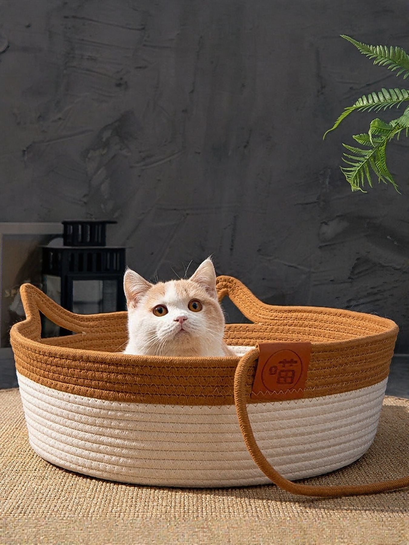 58ac2b46-f041-45db-82d1-d5394e308c59-Max